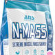 ANS N-Mass