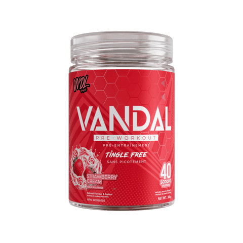 VNDL Vandal Pre Workout 40 Servings
