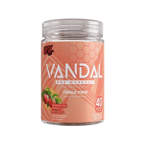 VNDL Vandal Pre Workout 40 Servings